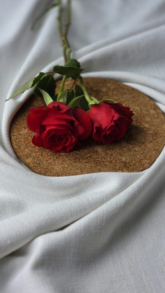 pexels-nouralhoda-al-2151678059-33906676